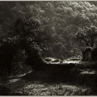 Cinque Terre | Italien 1984