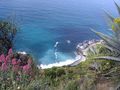 Cinque Terre, la costa e i suoi fiori von Lorena Torregiani 