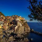 Cinque Terre / Landschaft