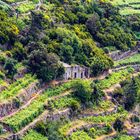 Cinque Terre. Landschaft im Cinque Terre.