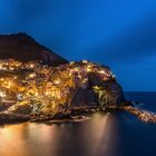 Cinque Terre- Manarola 