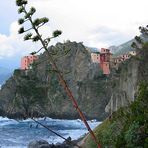 CINQUE TERRE-MANAROLA