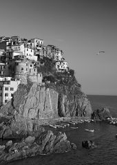 Cinque Terre - Manarola I