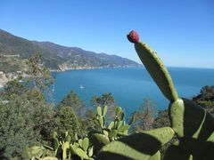 Cinque Terre - mit einem bezaubernden Vordergrund