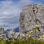 Cinque Torri in Belluno