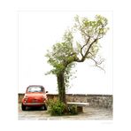 Cinquecento