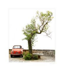 Cinquecento