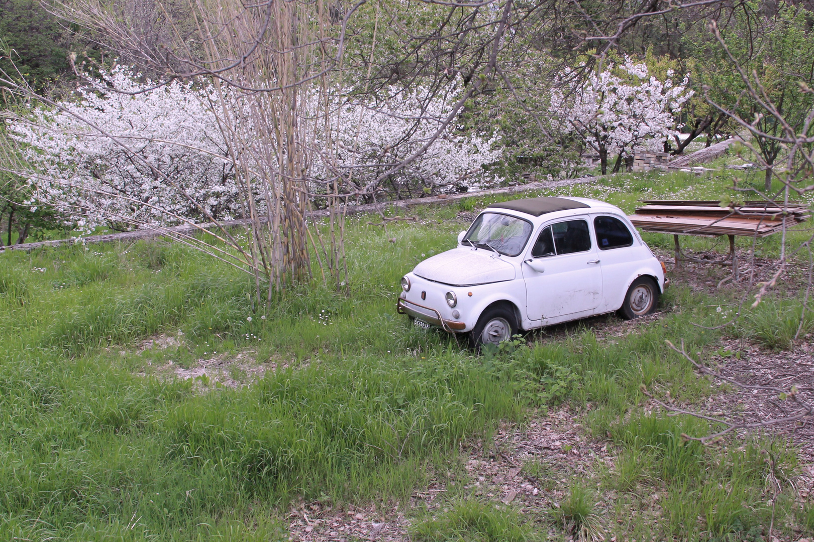 cinquecento