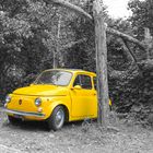 Cinquecento Yellow