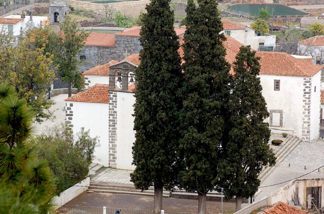 Cipreses (Vilaflor Tenerife)