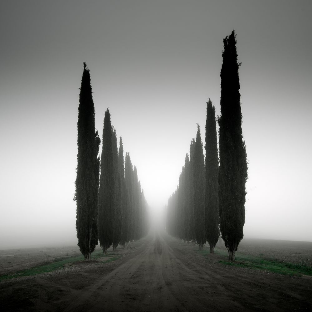 Cipressi Foto & Bild europe, italy, vatican city, s marino, italy