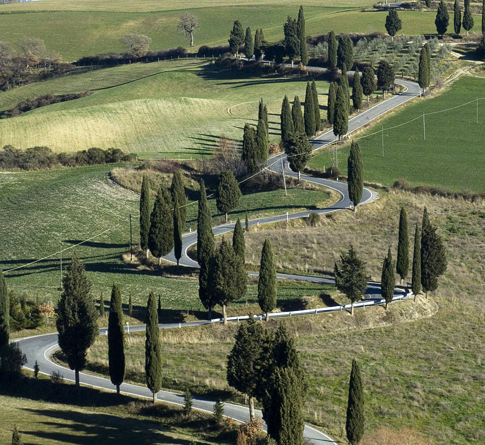 Cipressi 2:strada per Montichiello