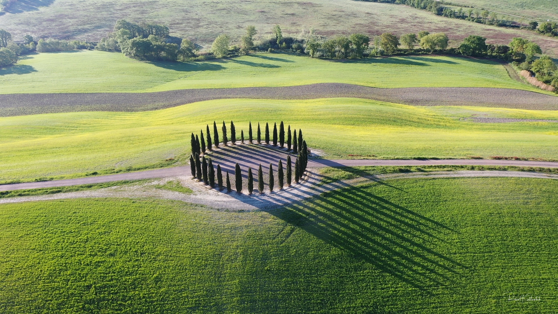 Cipressi di san Quirico