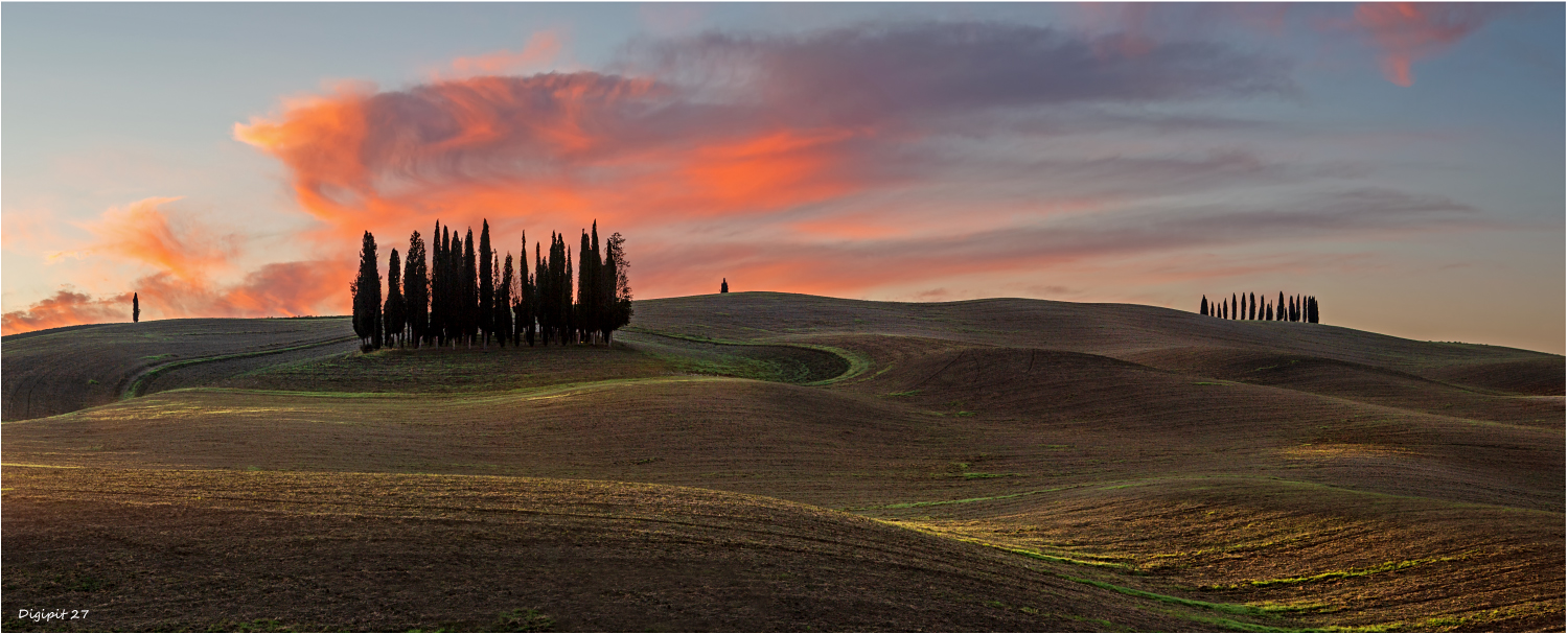 Cipressi di San Quirico d'Orcia 202201 Foto & Bild world, sonnenuntergang, wald Bilder auf