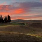 Cipressi di San Quirico d'Orcia 2022-01