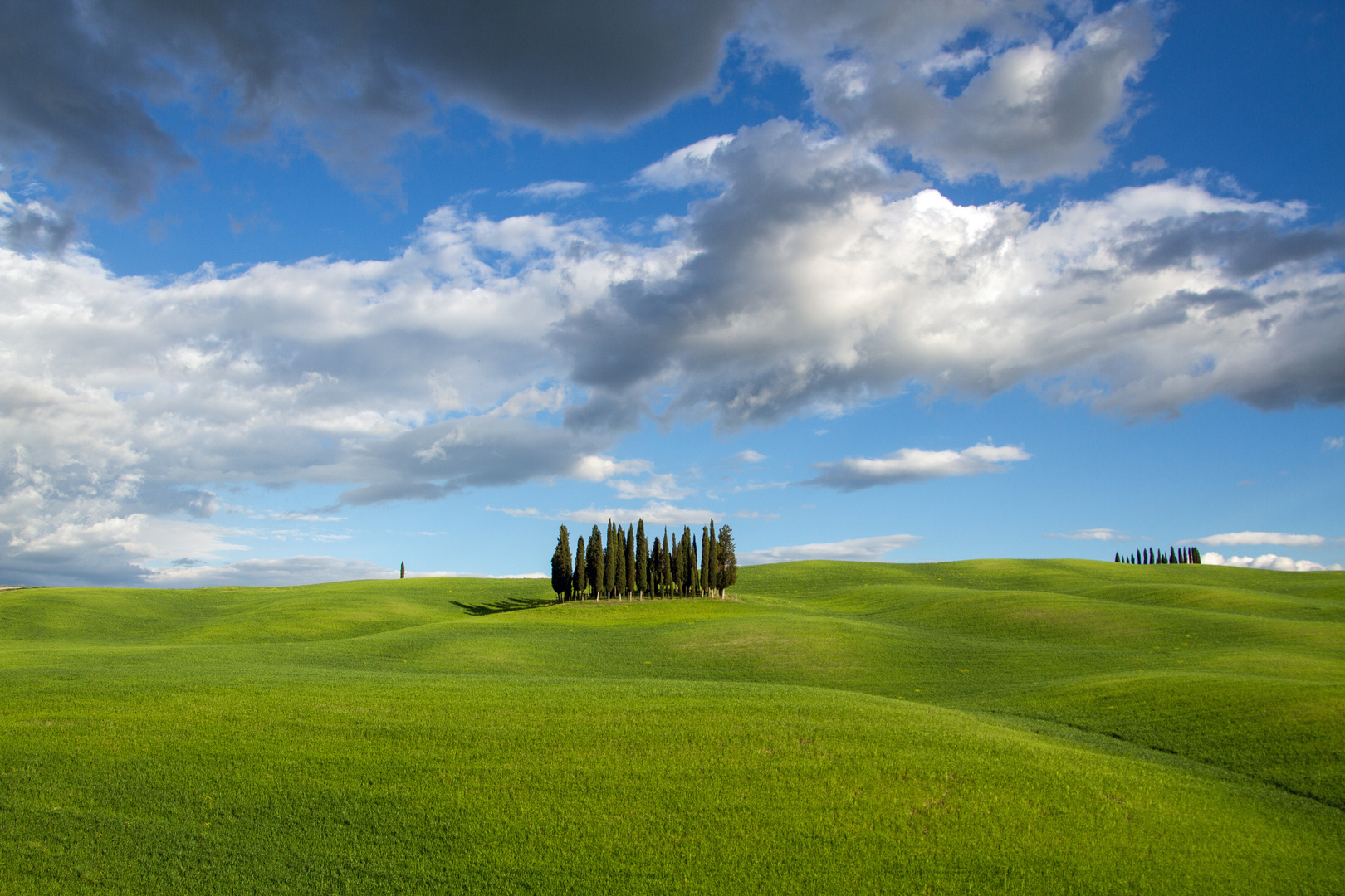 Cipressi di San Quirico d'Orcia