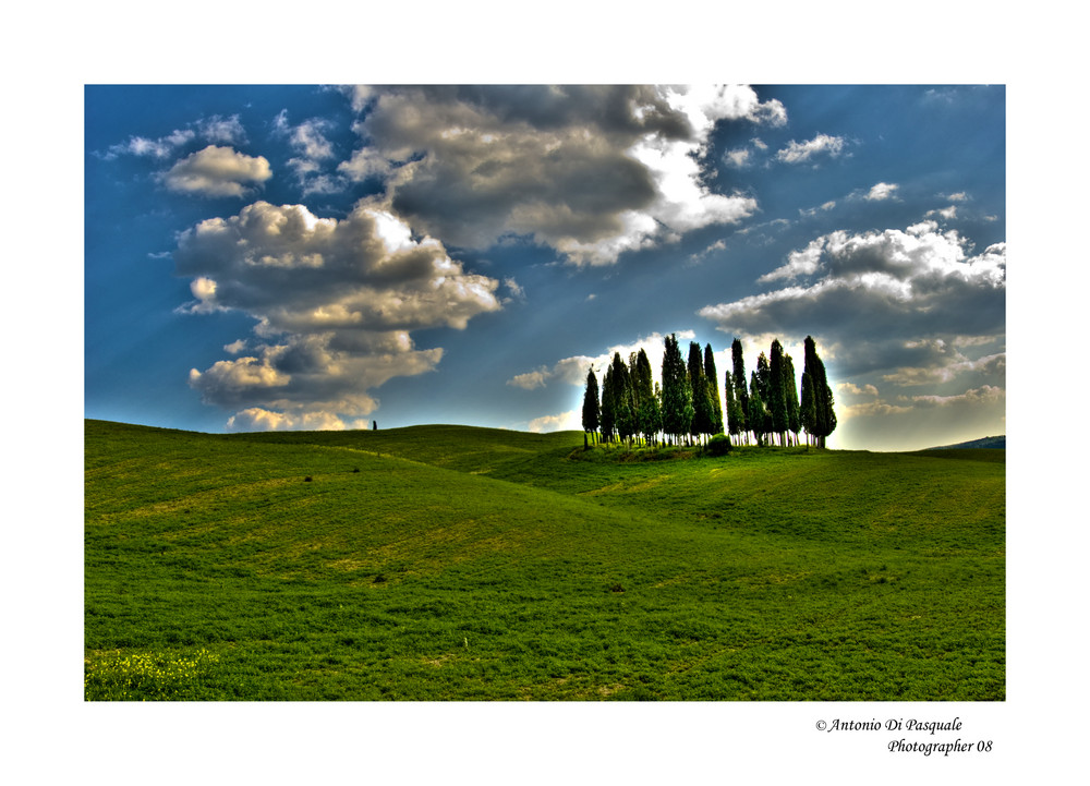 Cipressini (Toscana)