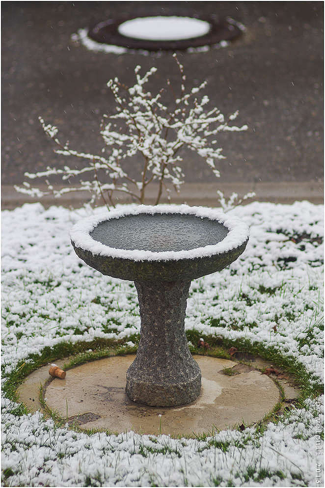 circles in snow