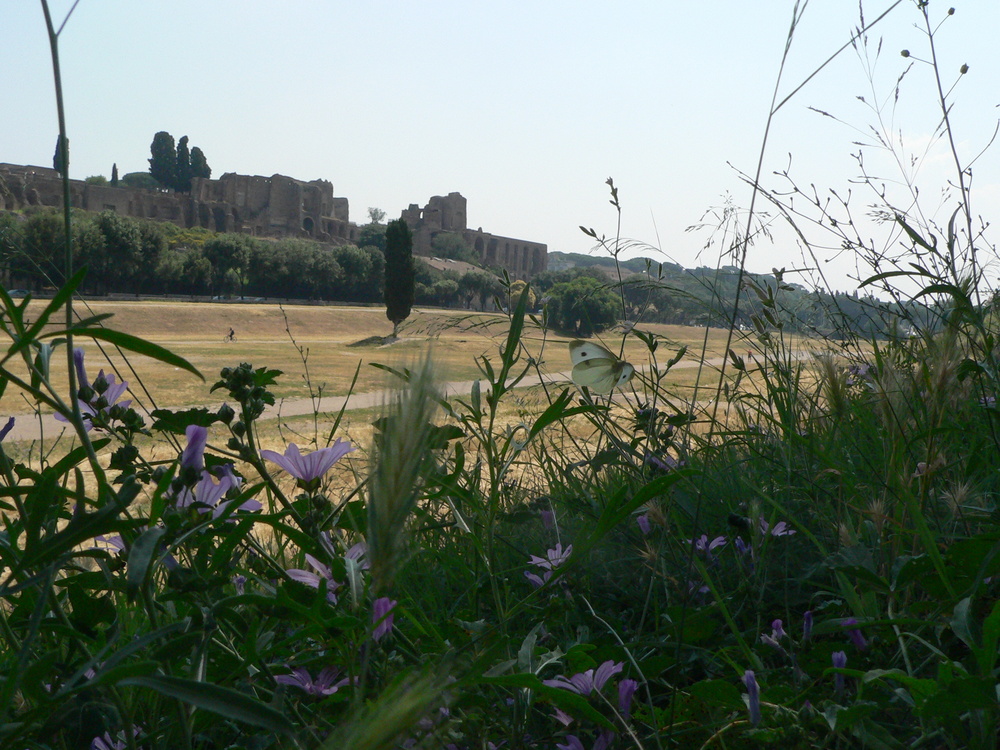 Circo Massimo