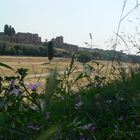 Circo Massimo