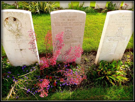 Circuit 10 au 16 Juin 2024 vers la région des Hauts de France