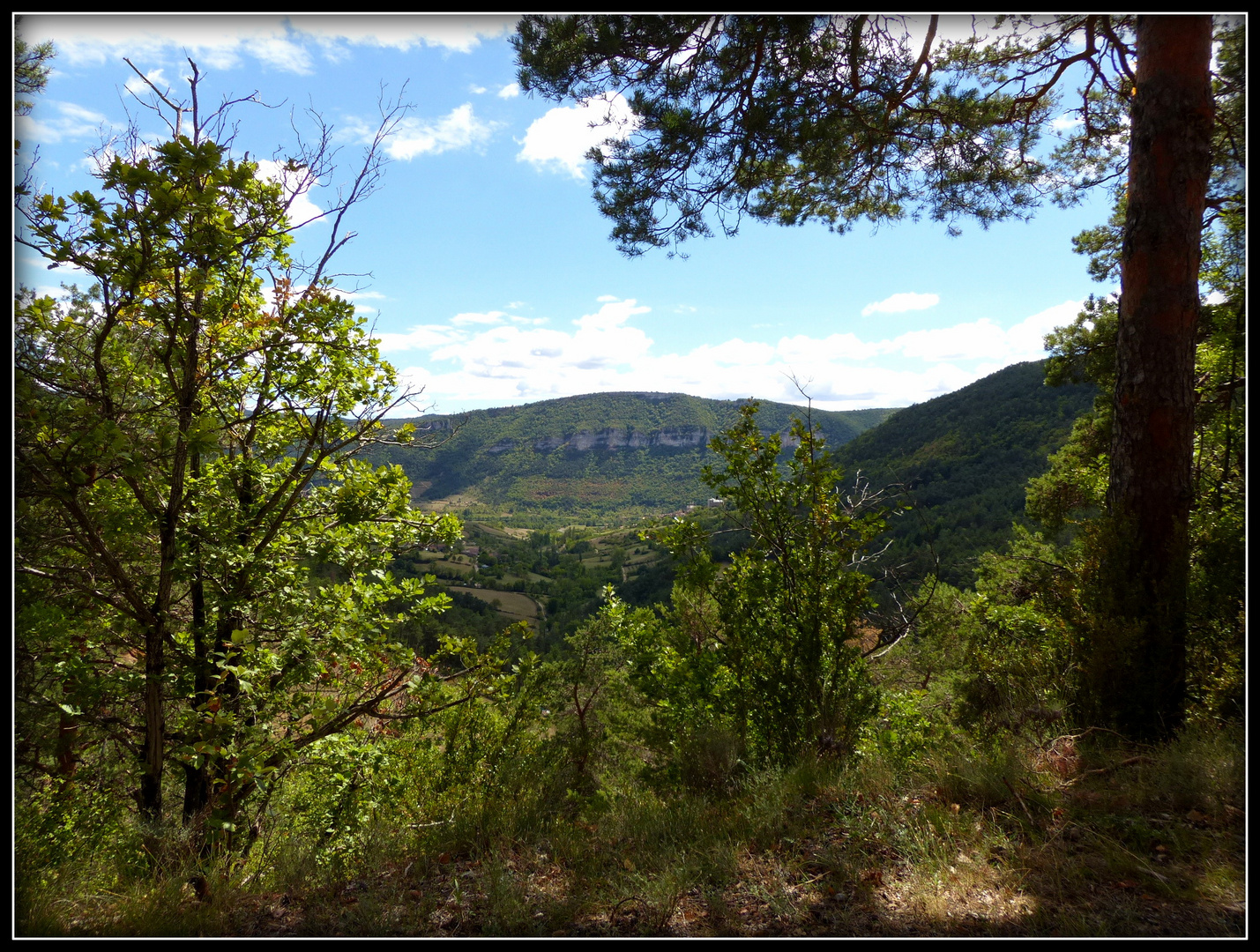 Circuit - AVEYRON-LOZERE-TARN 