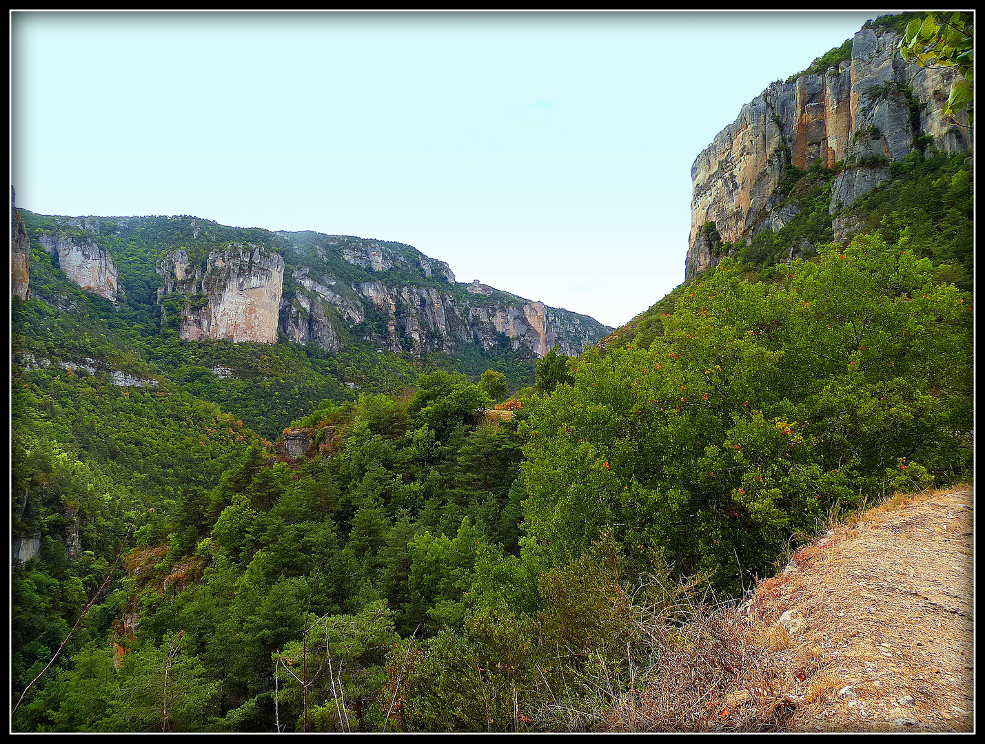 Circuit - AVEYRON-LOZERE-TARN 