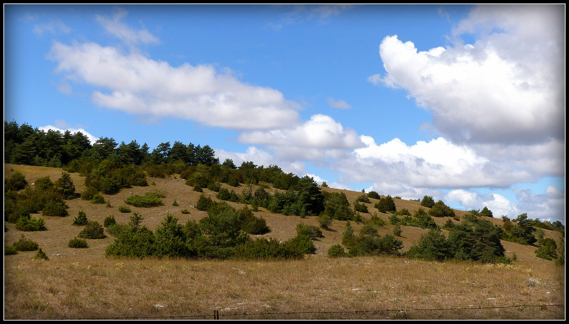 Circuit - AVEYRON-LOZERE-TARN 