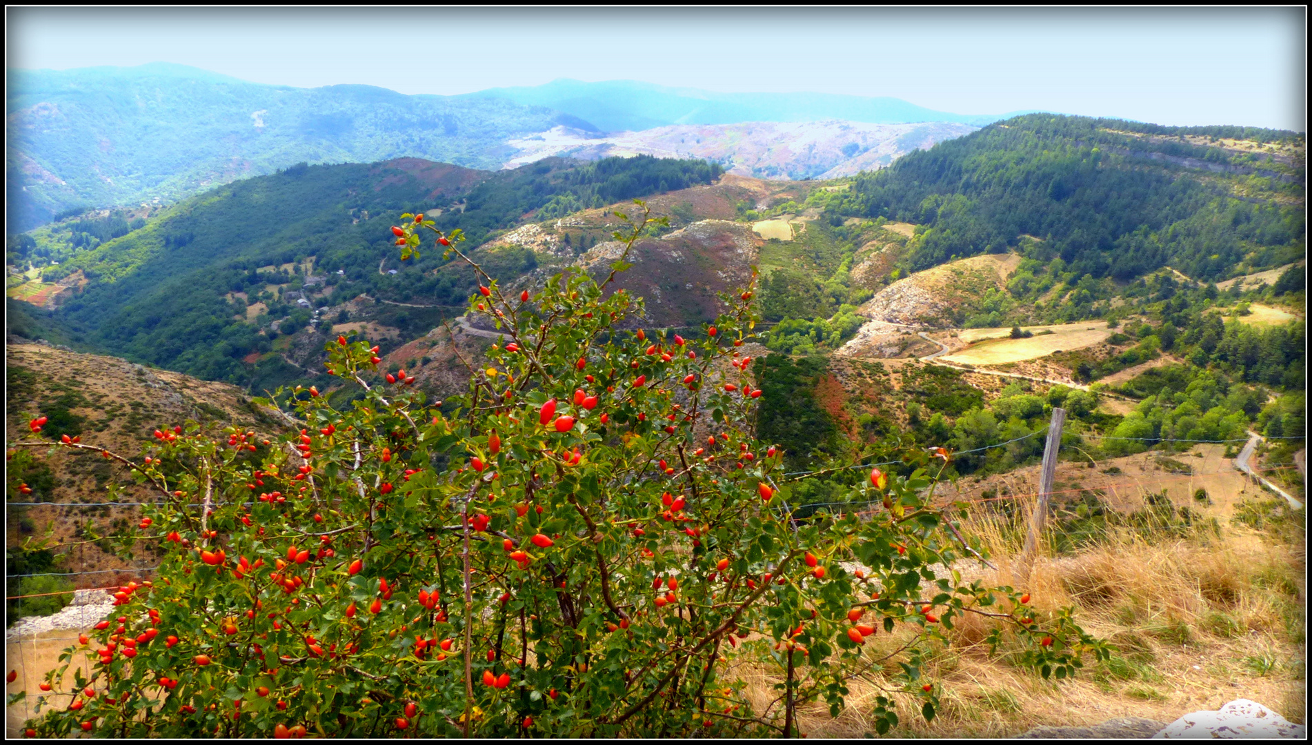 Circuit - AVEYRON-LOZERE-TARN