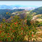 Circuit - AVEYRON-LOZERE-TARN