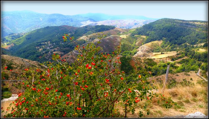 Circuit - AVEYRON-LOZERE-TARN