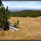 Circuit - AVEYRON-LOZERE-TARN 