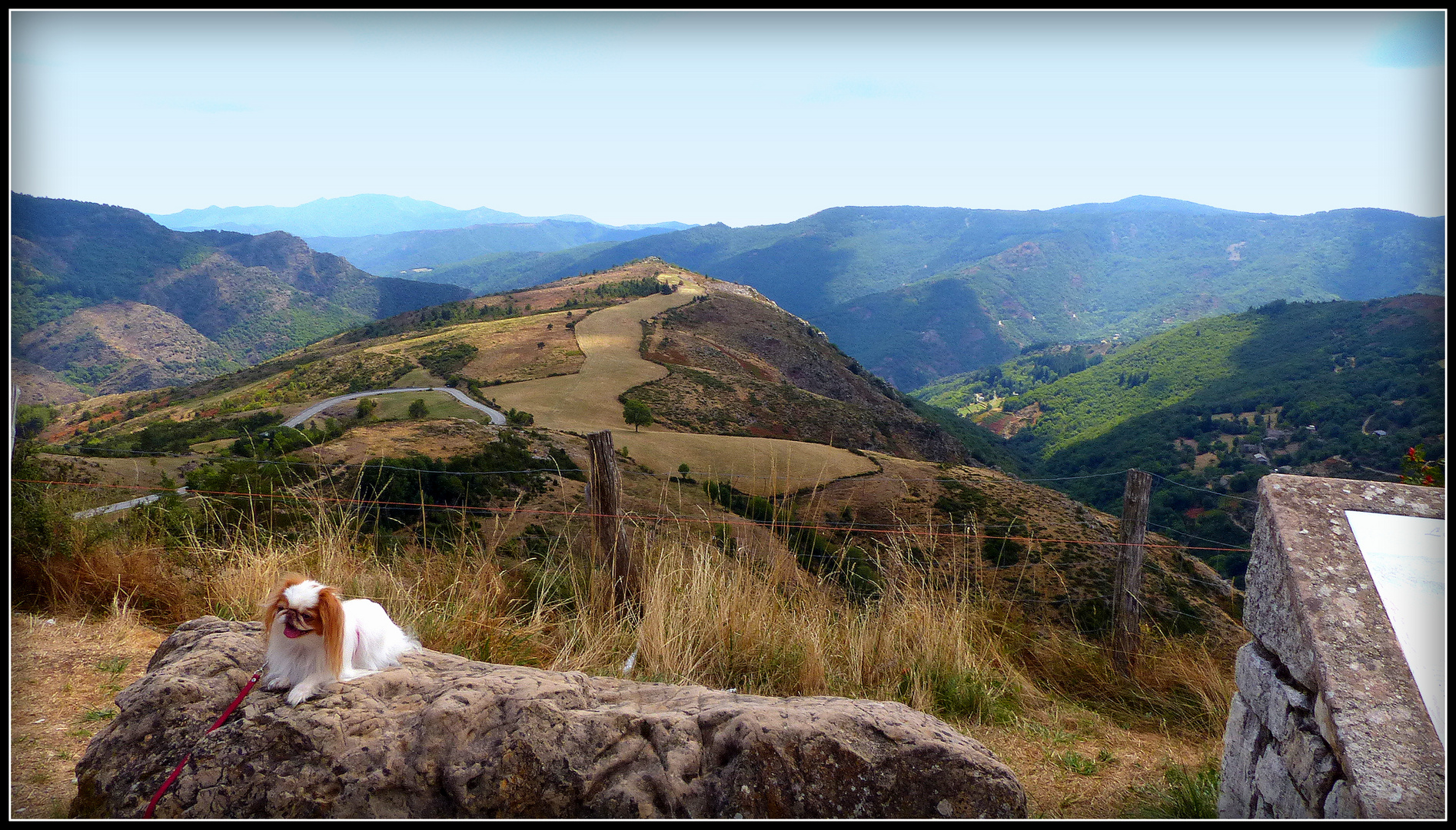 Circuit - AVEYRON-LOZERE-TARN +++ Exo n°32 Les Chiens 