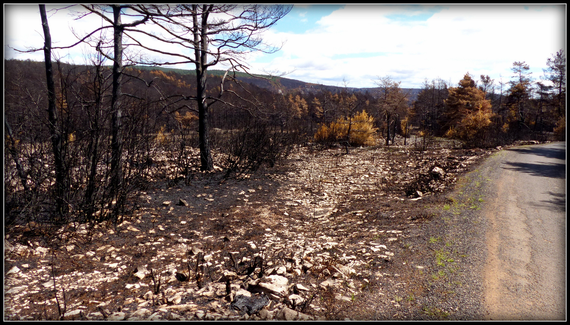 Circuit - AVEYRON-LOZERE-TARN 