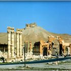 CIRCUIT en SYRIE 1998 - 42 - -