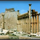 CIRCUIT en SYRIE 1998 - 48 -