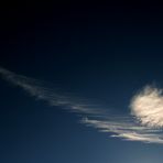 circular cirrus