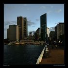 Circular Quay & CBD, Sydney, NSW / AU