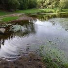 Círculos en el agua