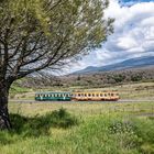 Circumetnea, bei Adrano, zwei Triebwagen der Serie ADe 11-20 von Stanga-TIBB-Fiat