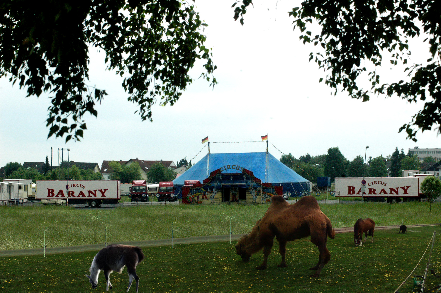 Circus Barany Idylle in Butzbach