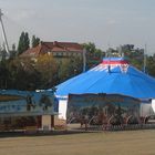 Circus Frankello in Ludwigshafen