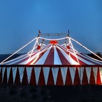 Circus Restaurant Go