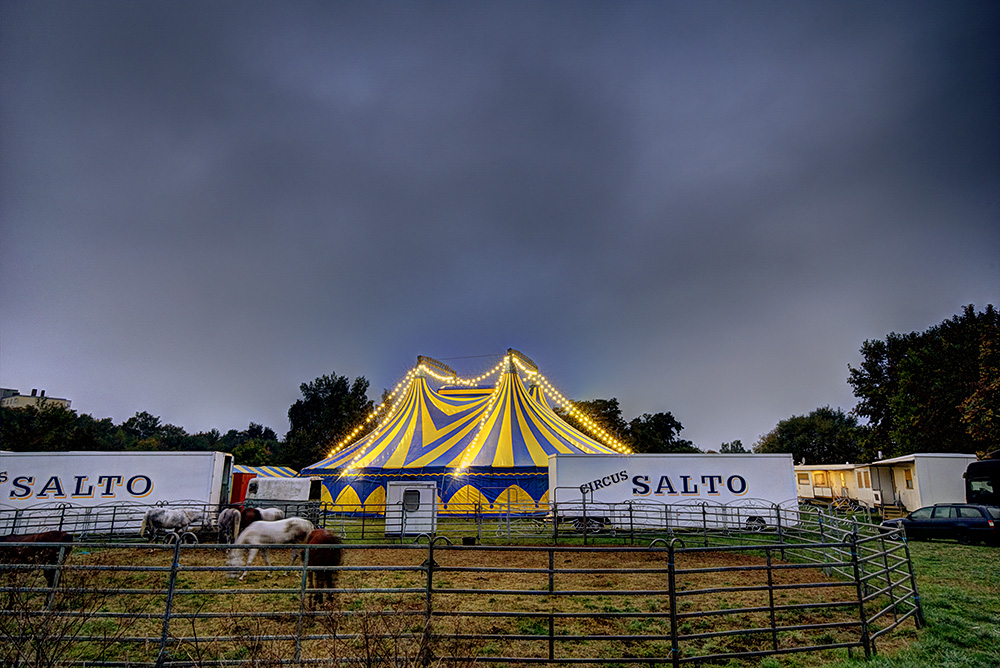 Circus Salto