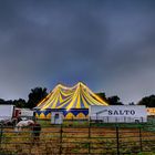 Circus Salto