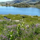 Cirque des Pessons Andorre le 11 août 2013.(4)