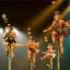 Cirque du Soleil IV