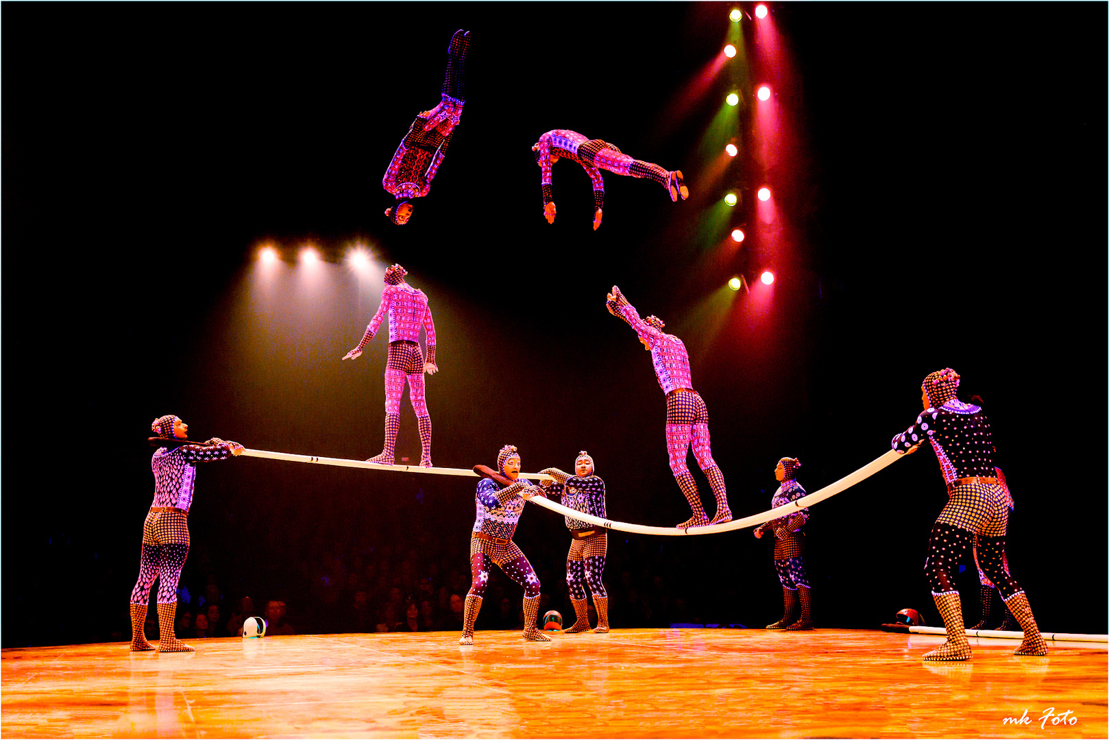 Cirque du Soleil IX