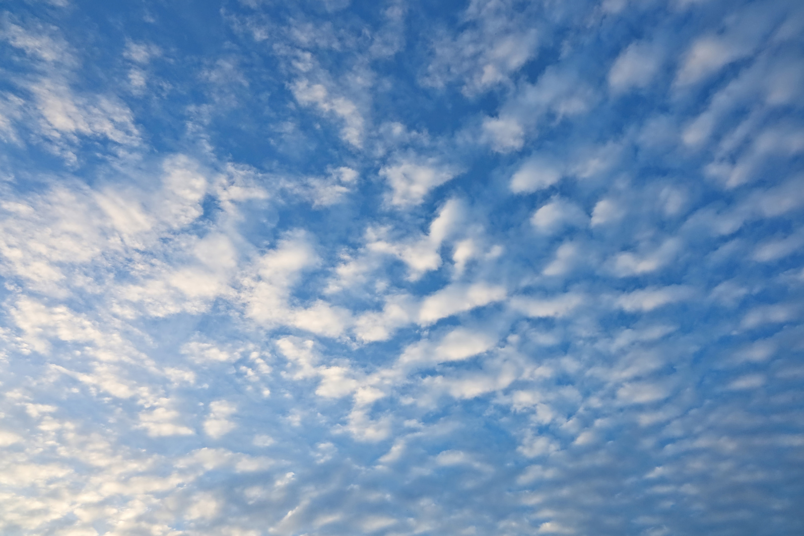 Cirrocumuli am blauen Morgenhimmel