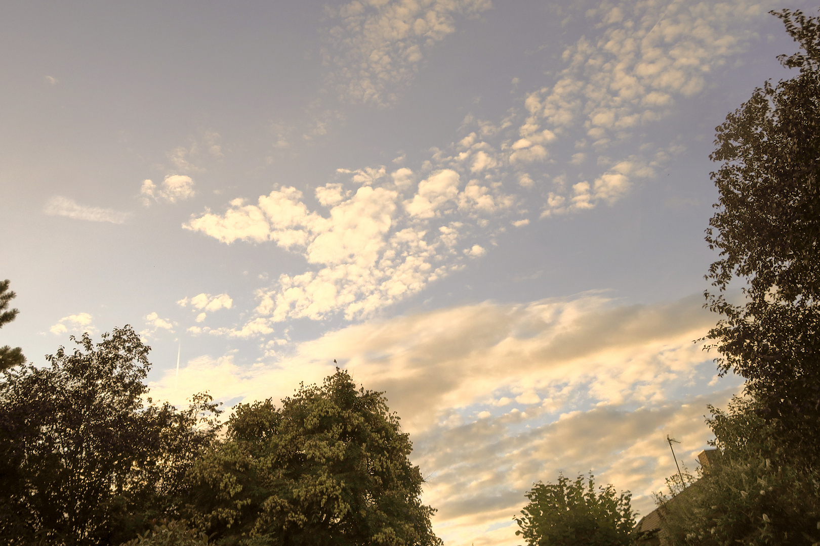 Cirrocumuli ( Schäfchenwolken über Zeutern)